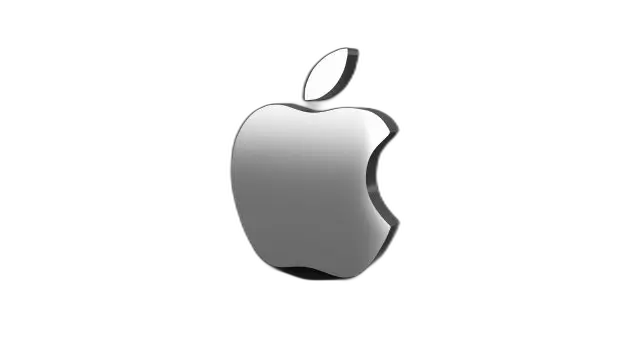 Logos & Branding